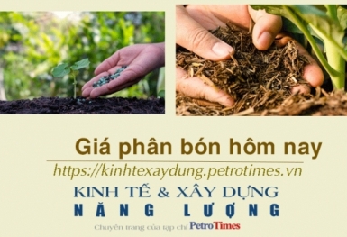Giá phân bón hôm nay 16/1: DAP Hàn Quốc đen giảm