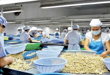 Cảnh báo doanh nghiệp cẩn trọng khi xuất khẩu sang Tây Ban Nha