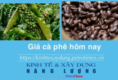 Giá cà phê hôm nay 20/1: Robusta có phiên tăng mạnh