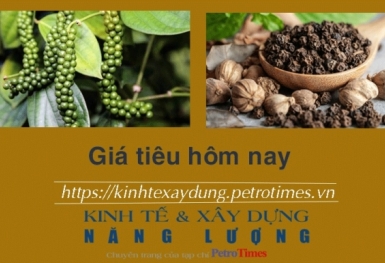 Giá tiêu hôm nay 20/1: Duy trì đà tăng