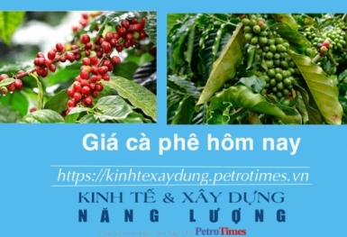 Giá cà phê hôm nay 21/1: Trong nước tăng trở lại