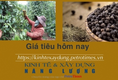 Giá tiêu hôm nay 21/1: Cao nhất ở mức 82.500 đồng/kg