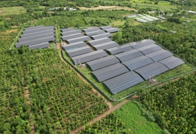 Vì sao Đắk Lắk thu hồi 13,2 ha đất của dự án điện mặt trời Xuân Thiện?