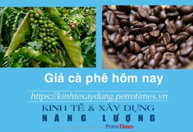 Giá cà phê hôm nay 23/1: Trong nước tiếp tục tăng
