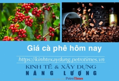 Giá cà phê hôm nay 24/1: Tăng mạnh trở lại