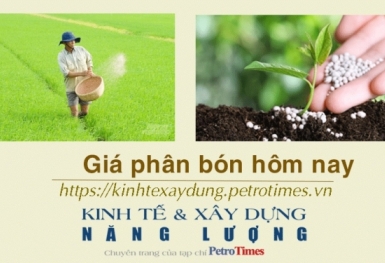 Giá phân bón hôm nay 24/1: NPK Trung Quốc giảm