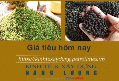 Giá tiêu hôm nay 24/1: Điều chỉnh tăng