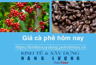 Giá cà phê hôm nay 27/1: Tiếp đà tăng