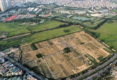 Những trường hợp nào bị thu hồi sổ đỏ theo Luật Đất đai 2024?