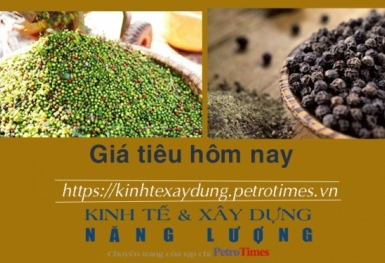 Giá tiêu hôm nay 30/1: Đông Nam Bộ tăng nhẹ