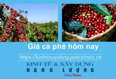 Giá cà phê hôm nay 2/2: Robusta và Arabica diễn biến trái chiều