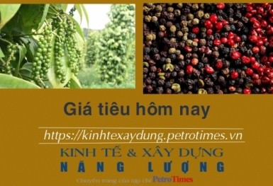 Giá tiêu hôm nay 2/2: Giữ ổn định