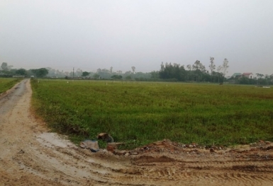 Hà Nội sắp thu hồi hơn 2.600ha đất nông nghiệp ở Hoàng Mai và Đông Anh