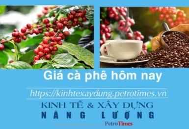 Giá cà phê hôm nay 3/2: Robusta giảm sâu sau chuỗi ngày tăng cao
