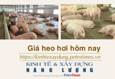 Giá heo hơi hôm nay 5/2: Thị trường lặng sóng