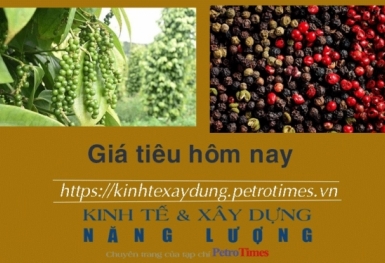 Giá tiêu hôm nay 6/2: Lặng sóng và đi ngang