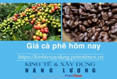 Giá cà phê hôm nay 11/2: Tăng mạnh trở lại