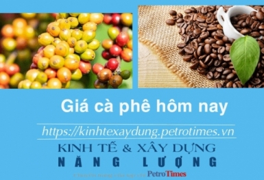 Giá cà phê hôm nay 15/2: Đồng loạt giảm