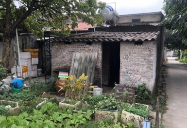 Các tranh chấp đất đai phải thực hiện hòa giải trước khi ra tòa theo Luật đất đai 2024