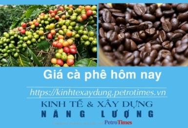 Giá cà phê hôm nay 16/2: Trong nước tiếp tục giảm sâu