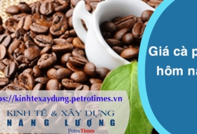 Giá cà phê hôm nay 20/2: Trong nước tăng mạnh