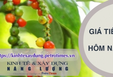 Giá tiêu hôm nay 20/2: Thị trường đi ngang