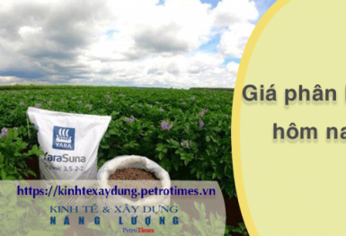 Giá phân bón hôm nay 22/2: DAP Nga đen 64% tăng