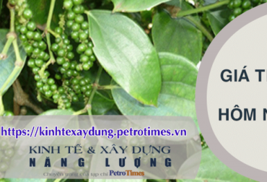 Giá tiêu hôm nay 22/2: Tiến sát mốc 90.000 đồng