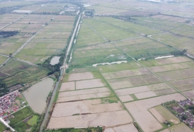 Các trường hợp được áp dụng bảng giá đất?