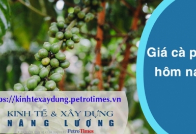Giá cà phê hôm nay 26/2: Tăng trở lại
