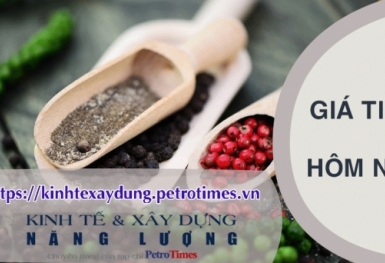 Giá tiêu hôm nay 26/2: Đồng loạt giảm tại các vùng