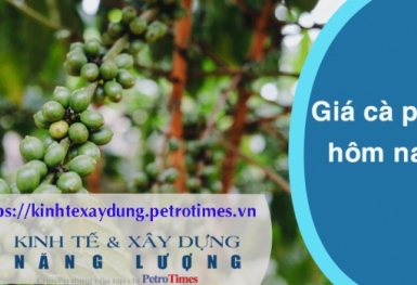 Giá cà phê hôm nay 27/2: Robusta và Arabica cùng giảm