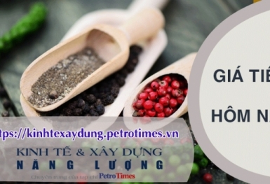 Giá tiêu hôm nay 27/2: Tăng mạnh trở lại