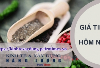 Giá tiêu hôm nay 3/3: Bất ngờ tăng mạnh trở lại