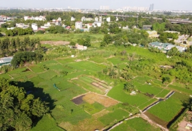 Các trường hợp thu hồi giấy chứng nhận quyền sử dụng đất