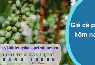 Giá cà phê hôm nay 4/3: Trong nước tiếp tục tăng