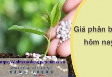 Giá phân bón hôm nay 4/3: Giao dịch ảm đạm