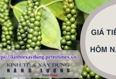 Giá tiêu hôm nay 4/3: Vượt ngưỡng 95.000 đồng
