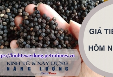 Giá tiêu hôm nay 7/3: Tăng nhẹ tại Bình Phước