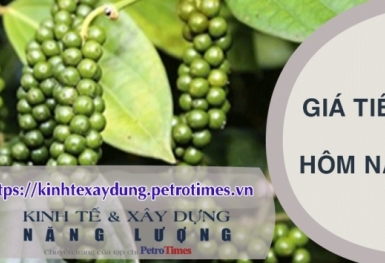 Giá tiêu hôm nay 8/3: Bình Phước giảm 500 đồng