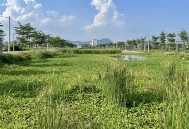 Ninh Bình: Tỷ lệ xây dựng nhà tại các khu đất đấu giá còn thấp