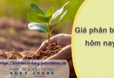 Giá phân bón hôm nay 10/3: Urê Brunei giảm