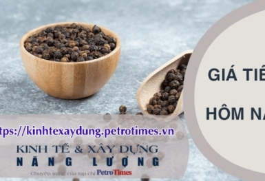 Giá tiêu hôm nay 11/3: Trong nước chững lại