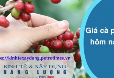 Giá cà phê hôm nay 12/3: Thị trường trong nước tăng