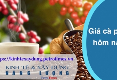 Giá cà phê hôm nay 14/3: Robusta có phiên giảm sâu
