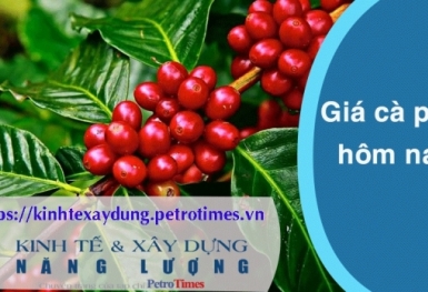 Giá cà phê hôm nay 22/3: Trong nước quay đầu giảm