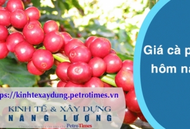 Giá cà phê hôm nay 3/4: Trong nước tăng nhẹ trở lại