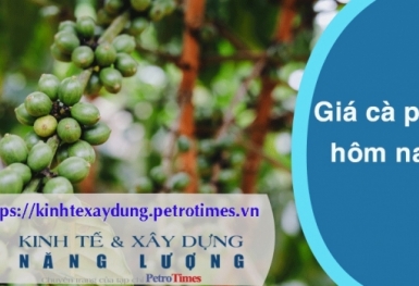 Giá cà phê hôm nay 4/4: Tăng phi mã, vượt mốc 101.000 đồng