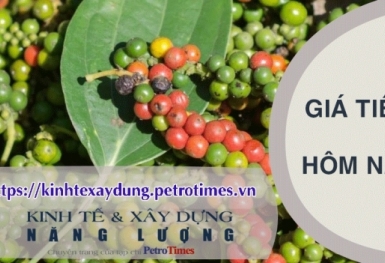 Giá tiêu hôm nay 4/4: Tây Nguyên giảm 500 đồng/kg