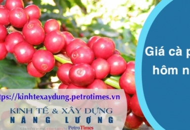 Giá cà phê hôm nay 6/4: Trong nước quay đầu giảm nhẹ
